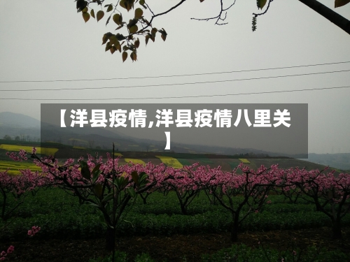 【洋县疫情,洋县疫情八里关】-第2张图片