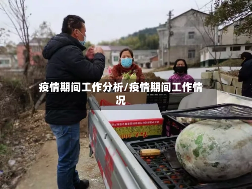 疫情期间工作分析/疫情期间工作情况-第2张图片