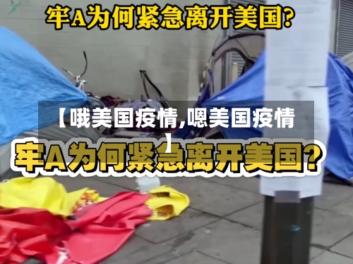 【哦美国疫情,嗯美国疫情】-第3张图片