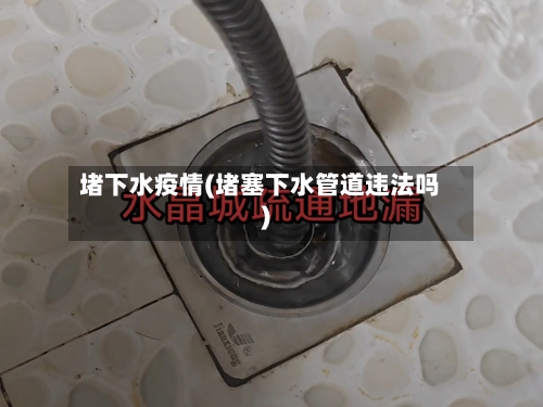 堵下水疫情(堵塞下水管道违法吗)