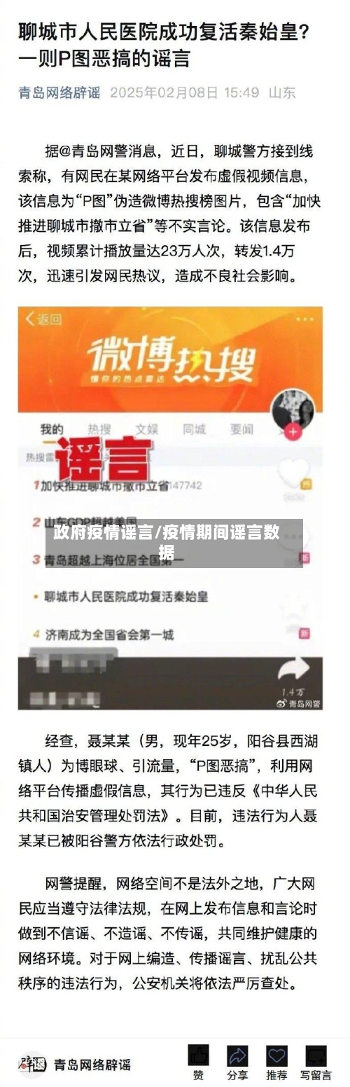 政府疫情谣言/疫情期间谣言数据
