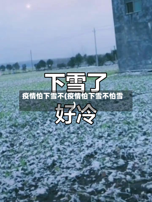 疫情怕下雪不(疫情怕下雪不怕雪)-第3张图片