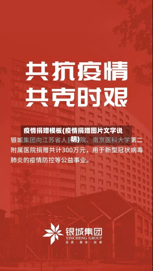 疫情捐赠模板(疫情捐赠图片文字说明)