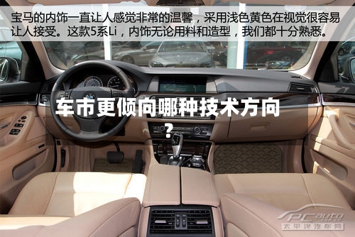 车市更倾向哪种技术方向？