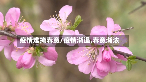疫情难掩春意/疫情渐退,春意渐浓-第2张图片
