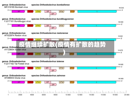 疫情继续扩散(疫情有扩散的趋势)-第3张图片