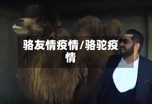 骆友情疫情/骆驼疫情-第2张图片