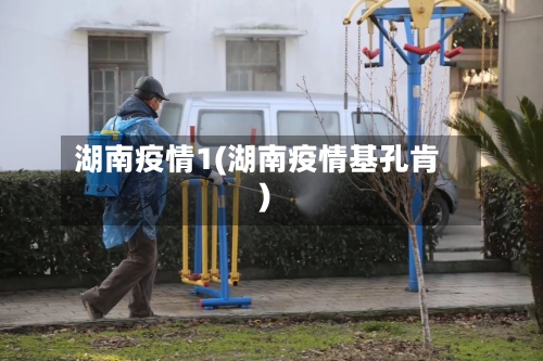 湖南疫情1(湖南疫情基孔肯)
