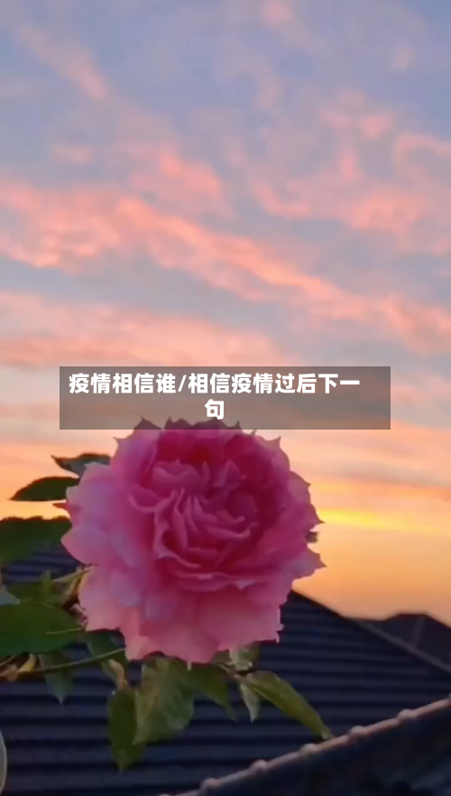 疫情相信谁/相信疫情过后下一句
