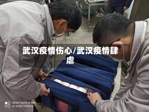 武汉疫情伤心/武汉疫情肆虐-第2张图片