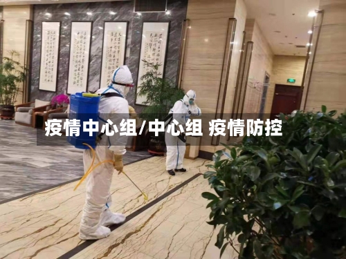 疫情中心组/中心组 疫情防控