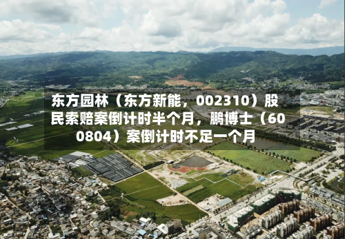 东方园林（东方新能，002310）股民索赔案倒计时半个月	，鹏博士（600804）案倒计时不足一个月-第2张图片