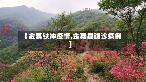 【金寨铁冲疫情,金寨县确诊病例】-第2张图片