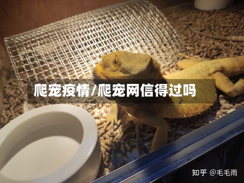 爬宠疫情/爬宠网信得过吗-第2张图片