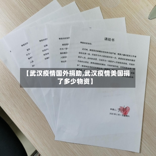 【武汉疫情国外捐助,武汉疫情美国捐了多少物资】-第2张图片