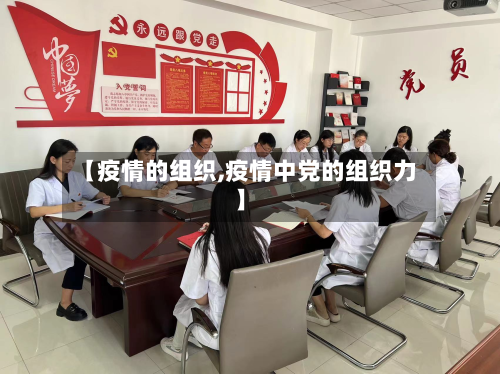 【疫情的组织,疫情中党的组织力】-第3张图片