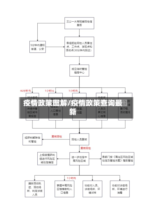 疫情政策图解/疫情政策查询最新-第2张图片