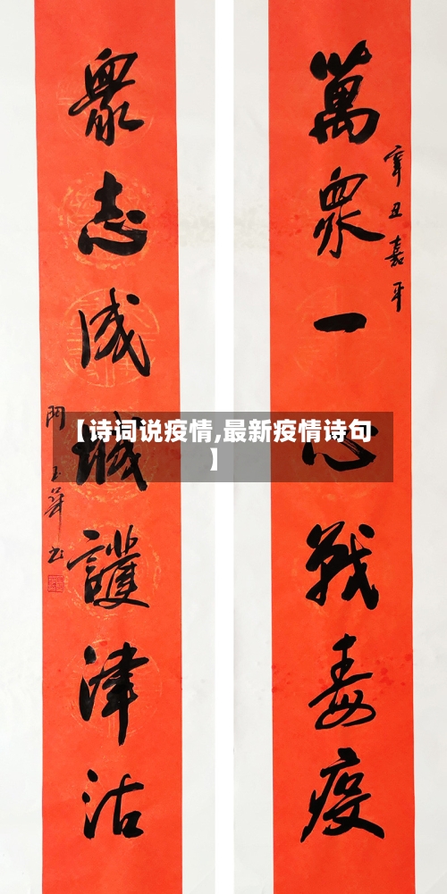 【诗词说疫情,最新疫情诗句】-第2张图片