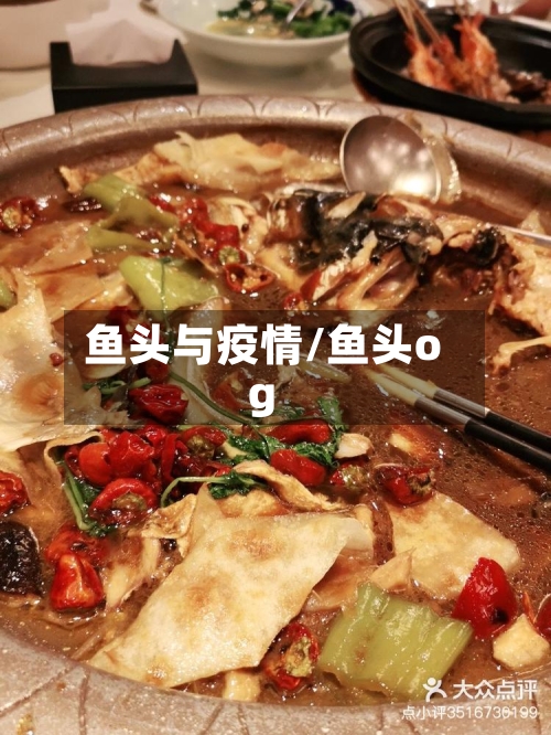 鱼头与疫情/鱼头og