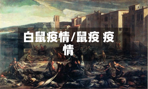 白鼠疫情/鼠疫 疫情