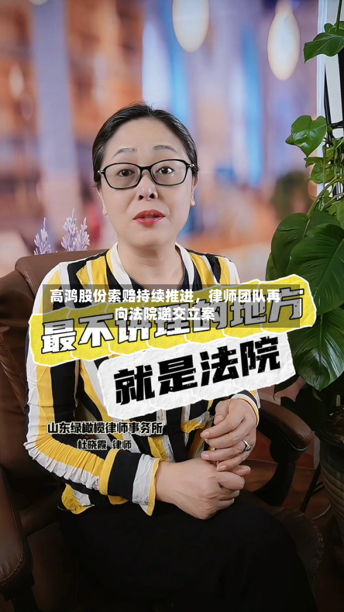 高鸿股份索赔持续推进，律师团队再向法院递交立案