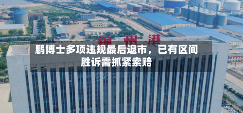 鹏博士多项违规最后退市	，已有区间胜诉需抓紧索赔-第3张图片