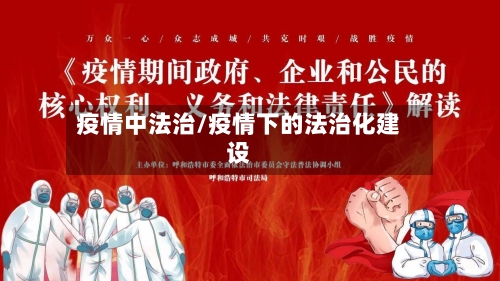 疫情中法治/疫情下的法治化建设