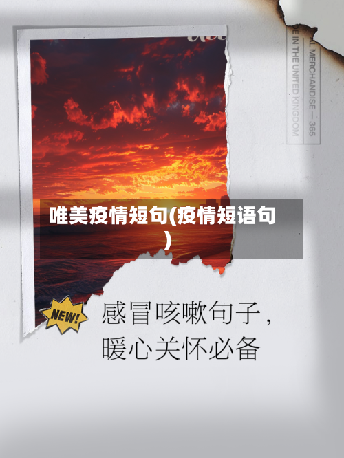 唯美疫情短句(疫情短语句)-第2张图片