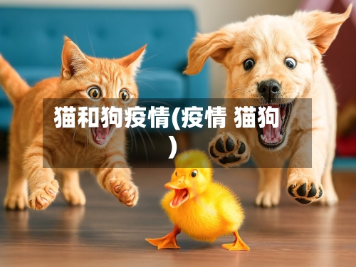猫和狗疫情(疫情 猫狗)-第2张图片