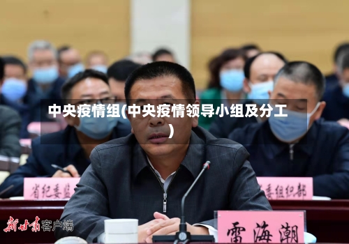 中央疫情组(中央疫情领导小组及分工)