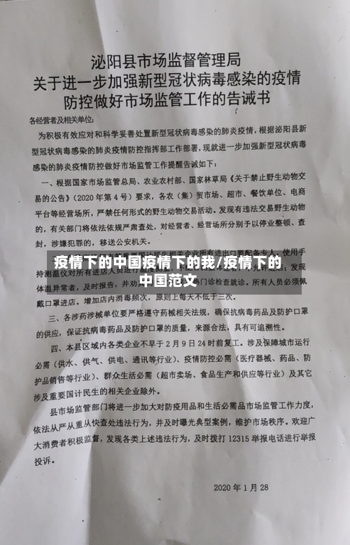 疫情下的中国疫情下的我/疫情下的中国范文-第2张图片