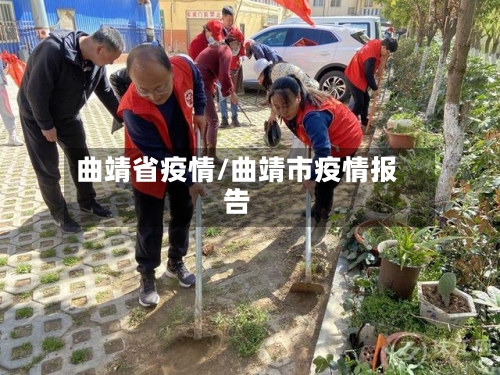 曲靖省疫情/曲靖市疫情报告-第2张图片