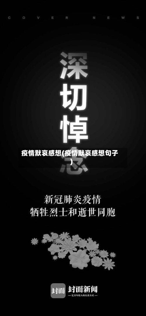 疫情默哀感想(疫情默哀感想句子)-第3张图片