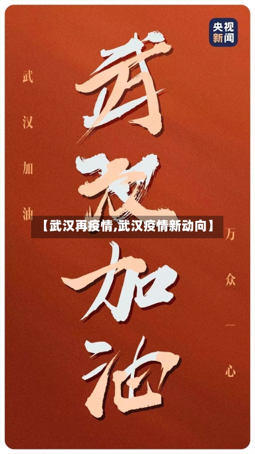【武汉再疫情,武汉疫情新动向】