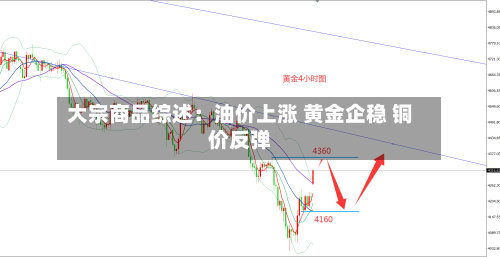 大宗商品综述：油价上涨 黄金企稳 铜价反弹
