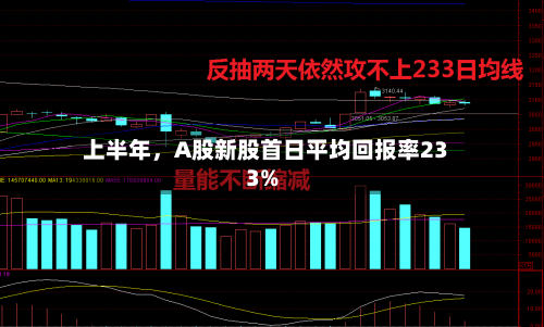 上半年，A股新股首日平均回报率233%