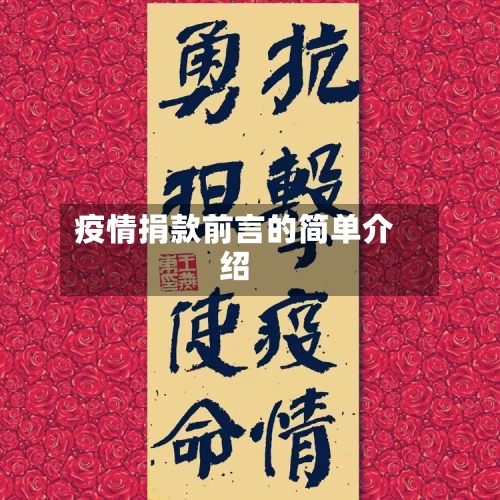 疫情捐款前言的简单介绍-第2张图片