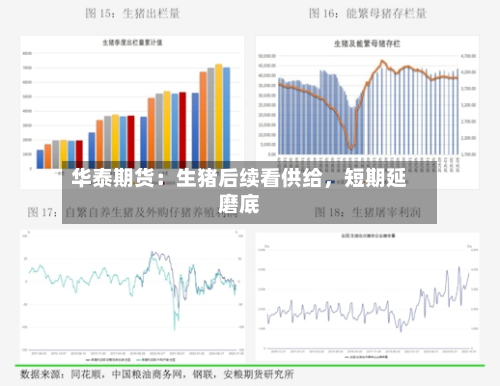 华泰期货：生猪后续看供给，短期延磨底-第1张图片