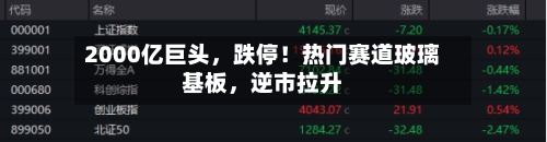 2000亿巨头，跌停！热门赛道玻璃基板，逆市拉升-第2张图片