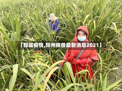 【邳城疫情,邳州疫情最新消息2021】-第2张图片