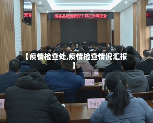 【疫情检查处,疫情检查情况汇报】-第2张图片