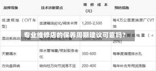 专业维修店的保养周期建议可靠吗？