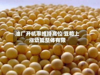 油厂开机率维持高位 豆粕上涨动能整体有限-第3张图片