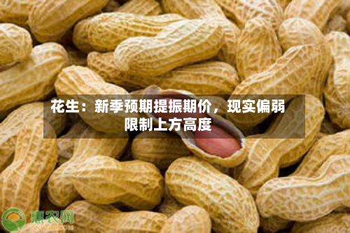 花生：新季预期提振期价，现实偏弱限制上方高度-第2张图片