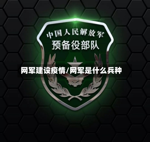 网军建设疫情/网军是什么兵种