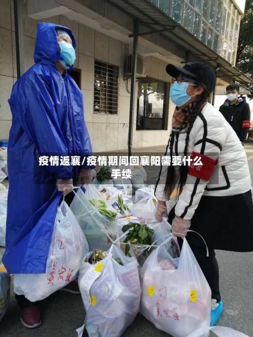 疫情返襄/疫情期间回襄阳需要什么手续