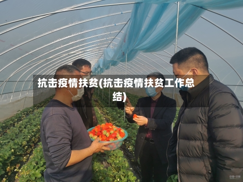 抗击疫情扶贫(抗击疫情扶贫工作总结)