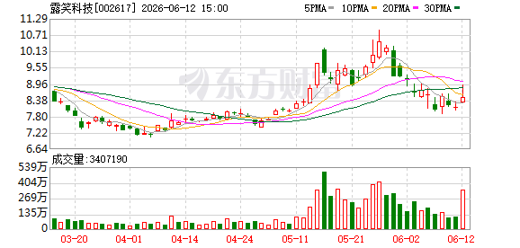 露笑科技：公司董事辞职