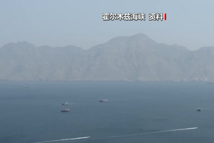 霍尔木兹大消息，伊朗宣布：通行船只须提交申请，60天内免费	，相关费用由伊朗政府承担！德国派军舰前往中东